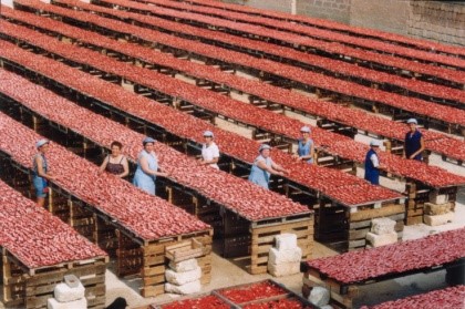 sicurezza lavoro